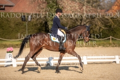 fischerChipmunk FRH Michael JUNG