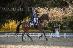 fischerChipmunk FRH Michael JUNG