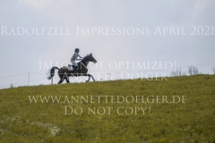 Passepartout 65 Silva KELLY