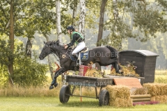 Pin Rocks Fade To Black Hedwig WIKSTROEM