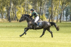 Pin Rocks Fade To Black Hedwig WIKSTROEM