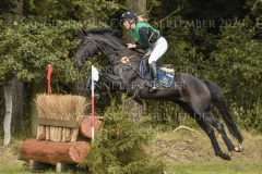 Pin Rocks Fade To Black Hedwig WIKSTROEM