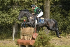 Pin Rocks Fade To Black Hedwig WIKSTROEM