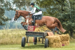 Golden Ivo Kpsc Julia Schatzmann