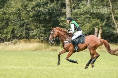 Golden Ivo Kpsc Julia Schatzmann