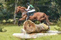 Golden Ivo Kpsc Julia Schatzmann