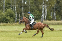 Venta H Henriette HAGEMANN