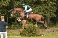 Venta H Henriette HAGEMANN