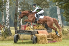 Lazulith 10 Madeleine Victoria SCHWERDT