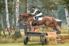 Lazulith 10 Madeleine Victoria SCHWERDT