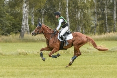 Lazulith 10 Madeleine Victoria SCHWERDT