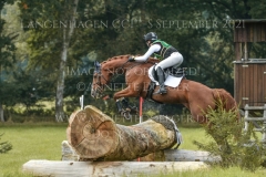 Lazulith 10 Madeleine Victoria SCHWERDT