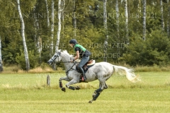 Lory van het Lichterveld Z Lynn EGGERMONT