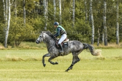 Haendel 6 Maj-Jonna ZIEBELL