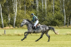 Haendel 6 Maj-Jonna ZIEBELL