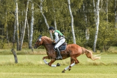 Chip Chap Zh Tom Nikolas KOERNER