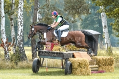 Wild West Clary Johanna Wetjen