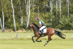 Wild West Clary Johanna Wetjen