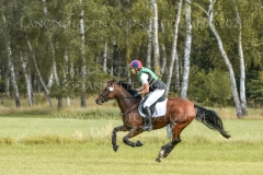 Wild West Clary Johanna Wetjen