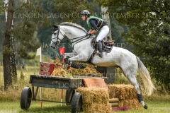 Great Twist d'Ive Z Julia Krajewski