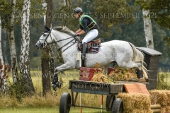 Great Twist d'Ive Z Julia Krajewski