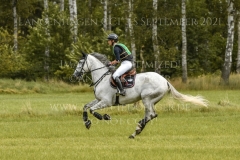 Great Twist d'Ive Z Julia Krajewski