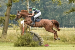 Sonnenlicht 4 Andreas BRANDT