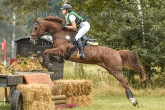 Aprikose 6 Christina MUELLER