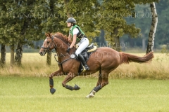 Aprikose 6 Christina MUELLER