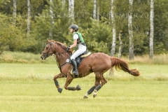 Aprikose 6 Christina MUELLER