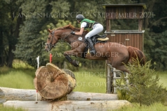 Aprikose 6 Christina MUELLER