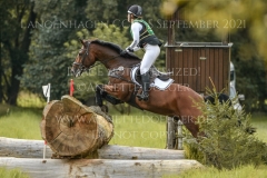 Rusty 418 Anuschka REUMANN