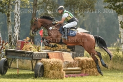 Geniale 11 Peter THOMSEN