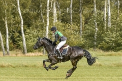 Royal Dancer 43 Kim HEITMANN