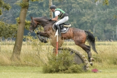 Cristallik Andreas DIBOWSKI