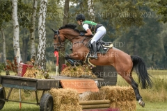 Ignatz H Faye FUELLGRAEBE-JUNG