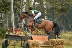 Ignatz H Faye FUELLGRAEBE-JUNG