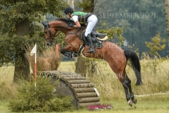 Ignatz H Faye FUELLGRAEBE-JUNG