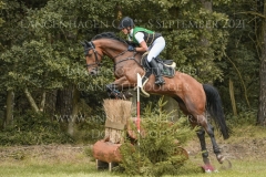 Ignatz H Faye FUELLGRAEBE-JUNG