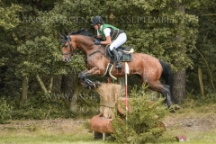 Ignatz H Faye FUELLGRAEBE-JUNG