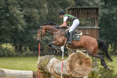 Ignatz H Faye FUELLGRAEBE-JUNG