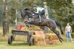 Niagara de Champenotte Hedda Vogler