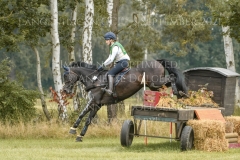 Niagara de Champenotte Hedda Vogler