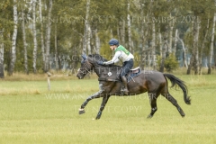 Niagara de Champenotte Hedda Vogler