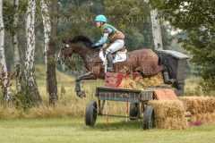 Fly In Time Frieda Betti HALLWIG