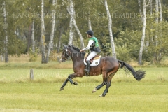 Homme dHotot M Tom Meier