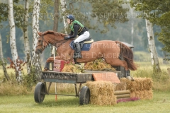 Chintano 7 Nicholas GOLDBECK