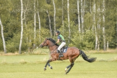 Dynamite Jack Sara ALGOTSSON OSTHOLT