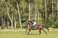 ChinTonic Julia Krajewski