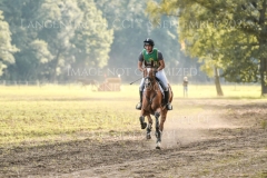 Caruso JH Nicolai ALDINGER